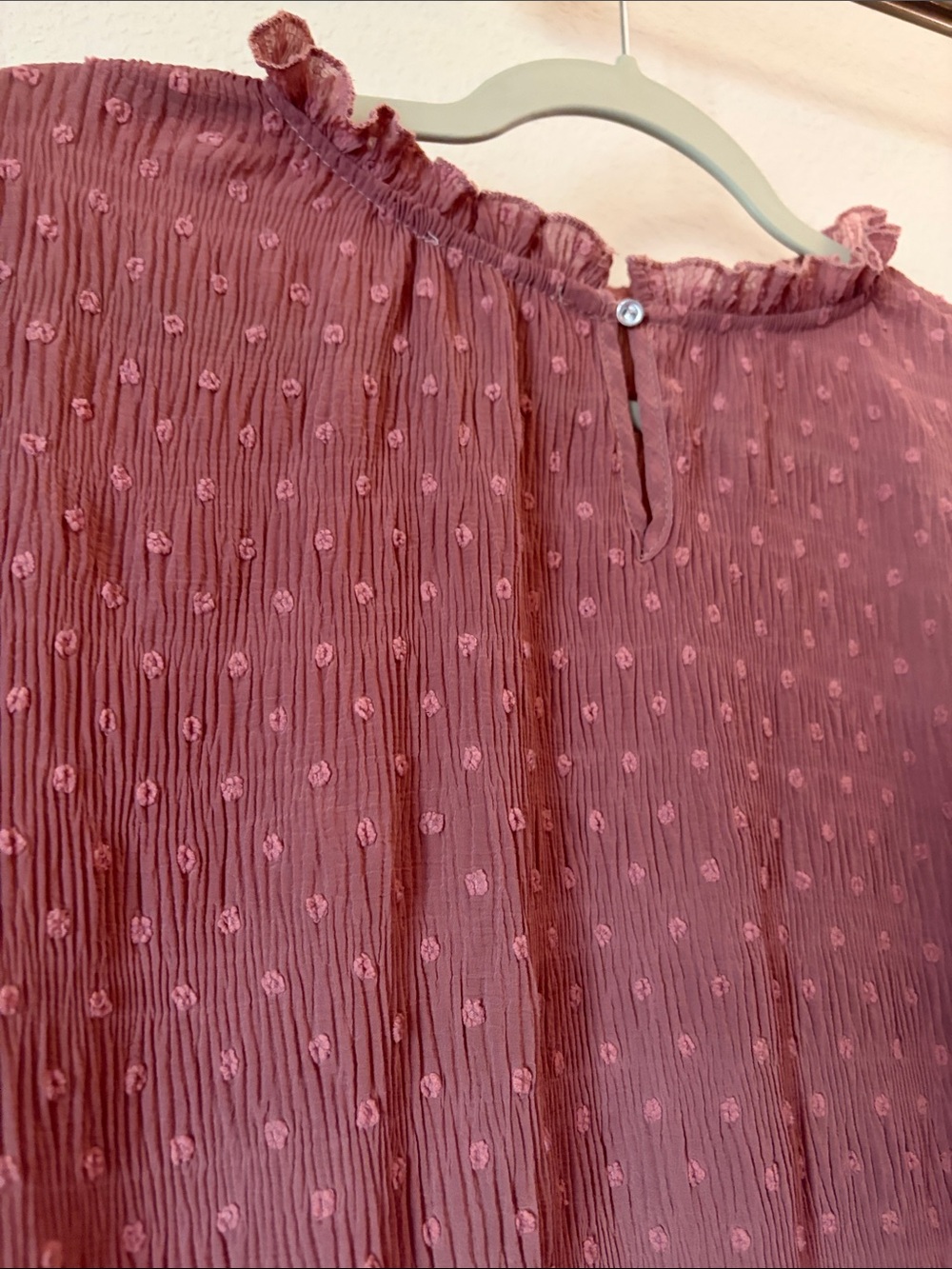 Blu Pepper Ruffle Blouse Size Large - Picture 6 of 8